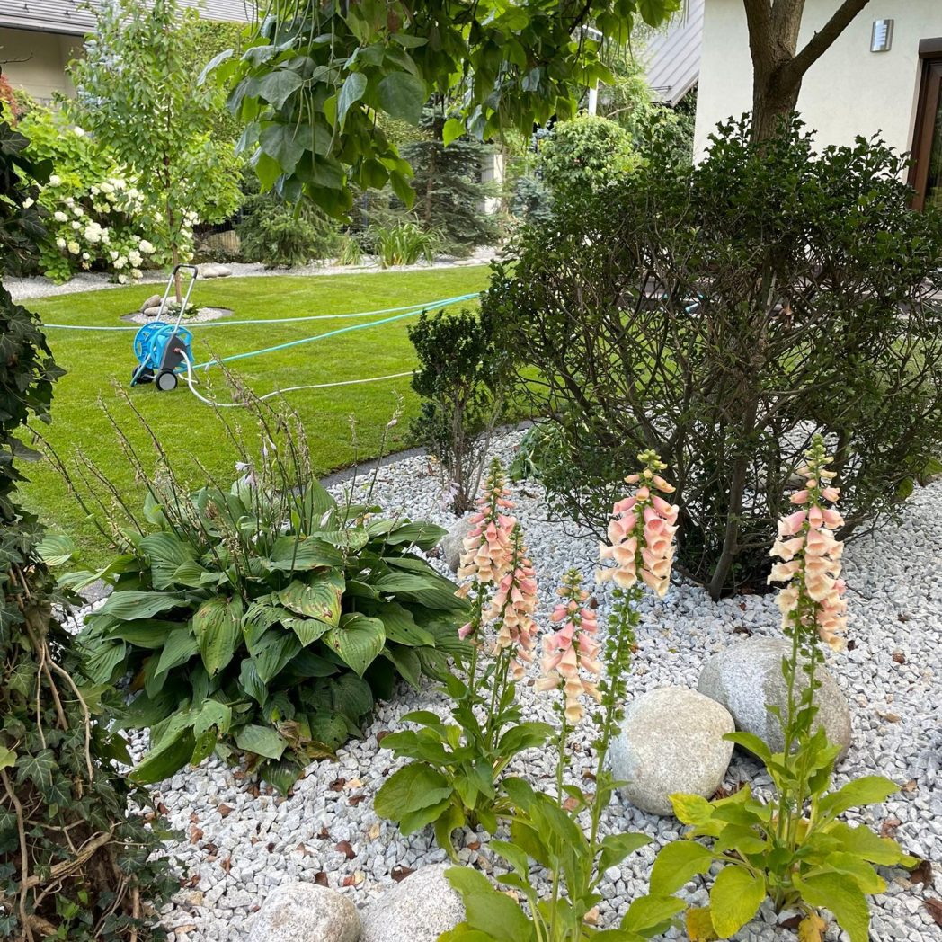 2797c4af-69da-4012-bb69-093ba1c7278f