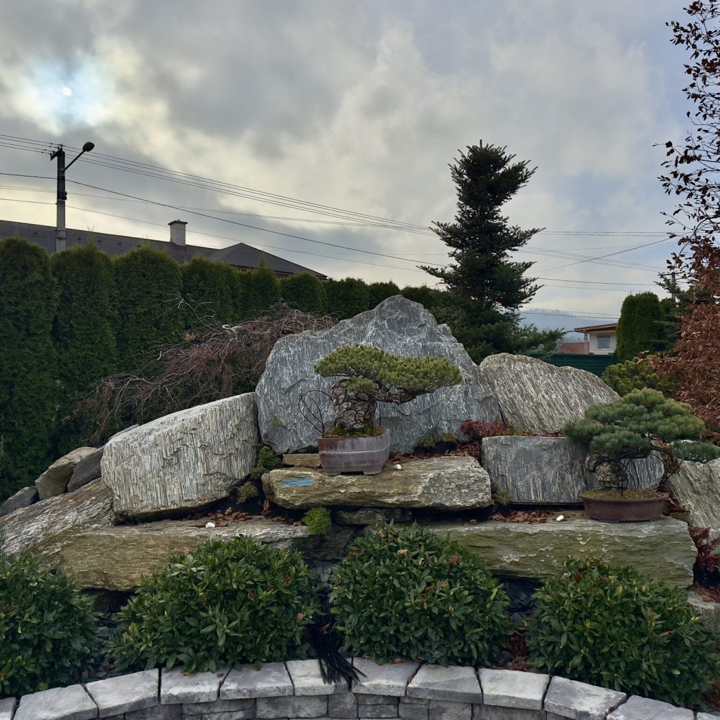 Projektowanie i zakładanie ogrodów bielsko biała