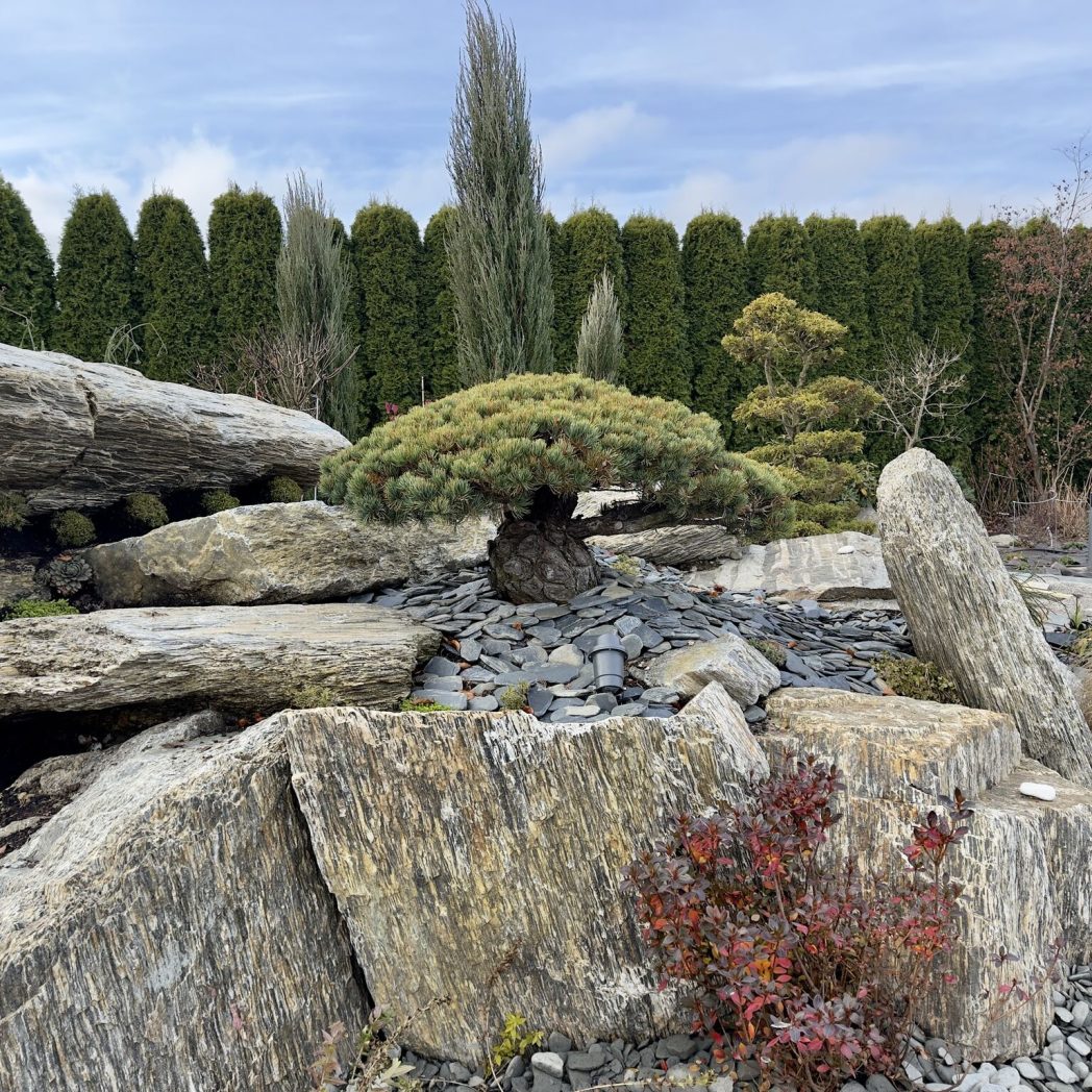 Projektowanie i zakładanie ogrodów bielsko biała