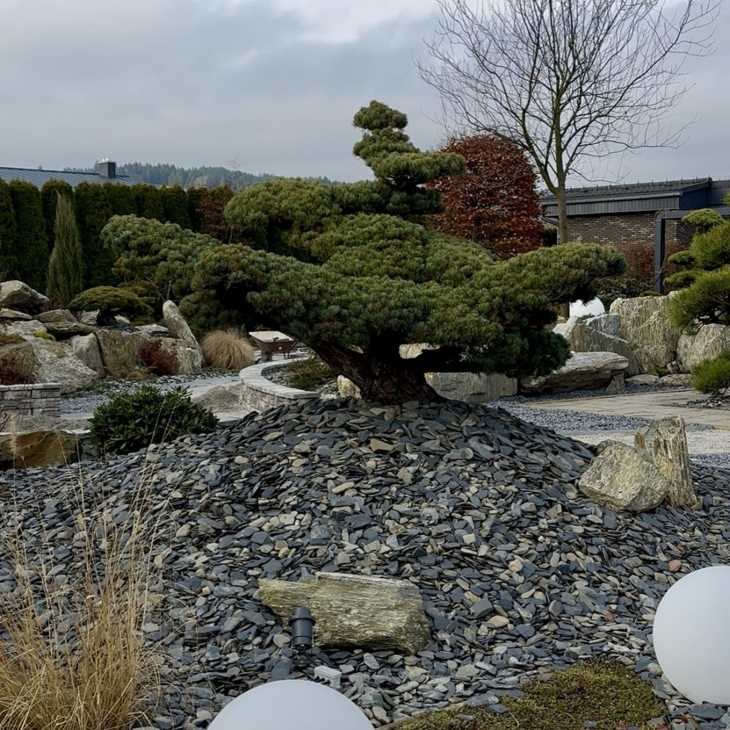 Projektowanie i zakładanie ogrodów bielsko biała