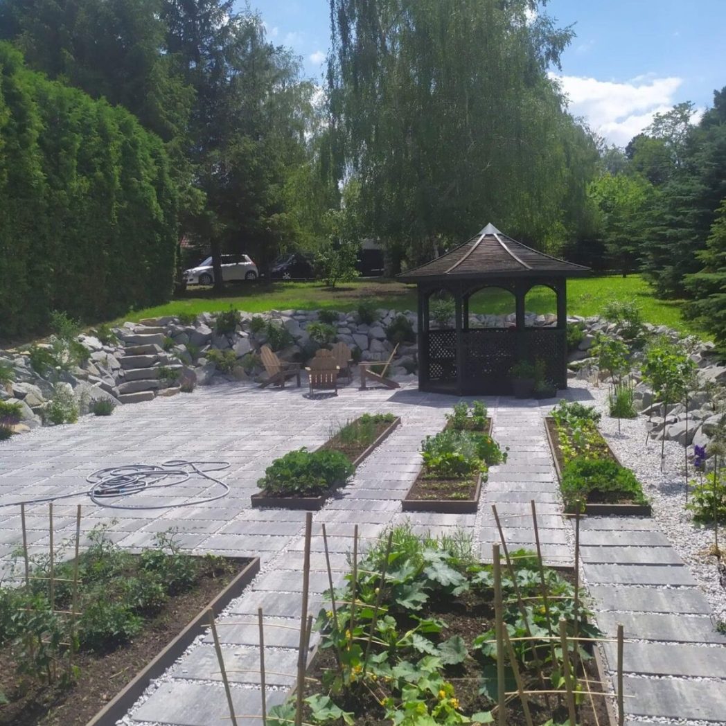 warzywnik w ogrodzie