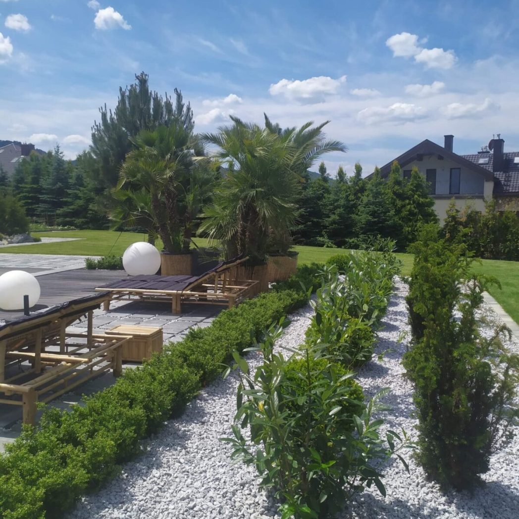 Projekt ogrodu z palmami