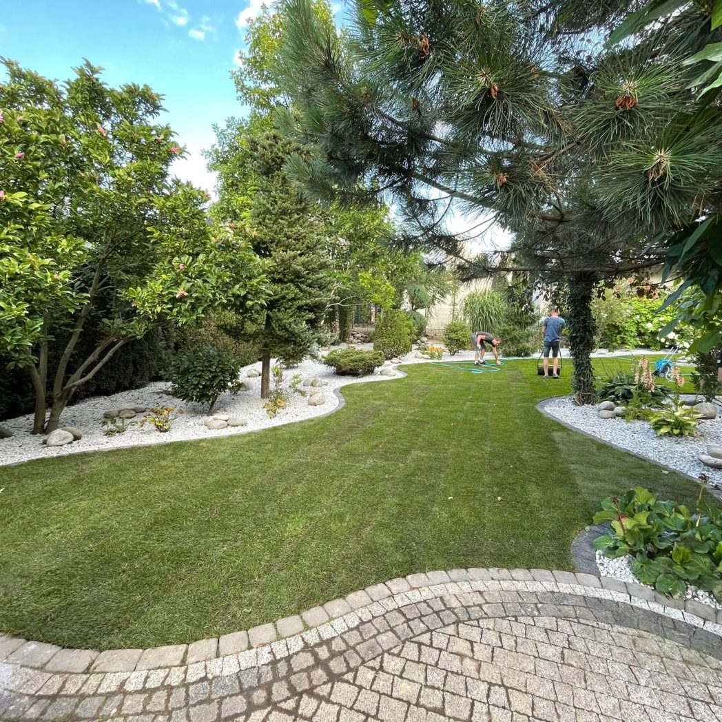 d95ea531-0f87-4a36-8111-de1185bd9272